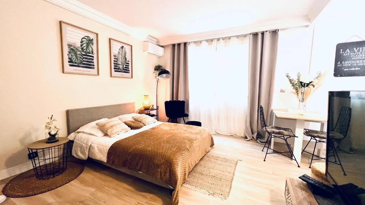 Le Miramar Nice - Clim, Parking, Wifi Et Piscine Apartman