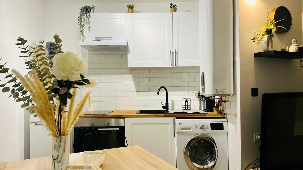 Le Miramar Nice - Clim, Parking, Wifi Et Piscine Apartment 0*,  France