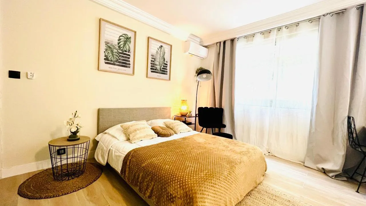 Le Miramar Nice - Clim, Parking, Wifi Et Piscine Apartman