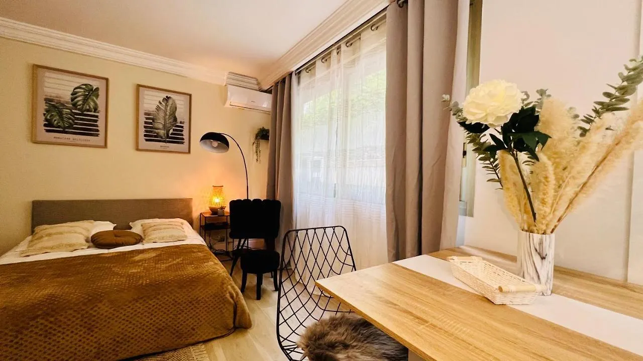 Le Miramar Nice - Clim, Parking, Wifi Et Piscine Apartment France