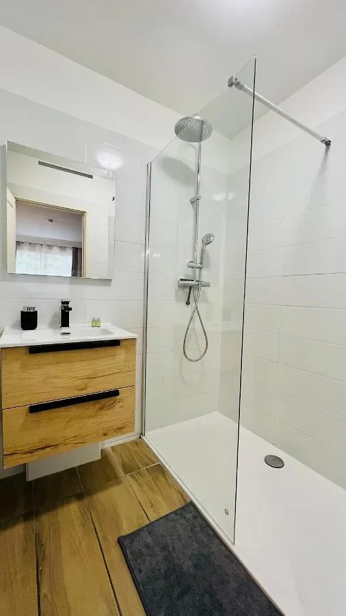 Le Miramar Nice - Clim, Parking, Wifi Et Piscine Apartment