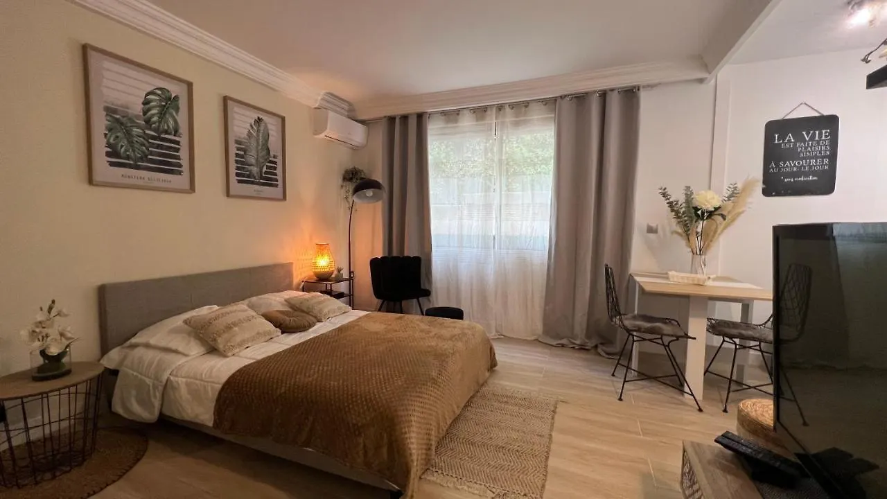 Le Miramar Nice - Clim, Parking, Wifi Et Piscine Apartment 0*,  France