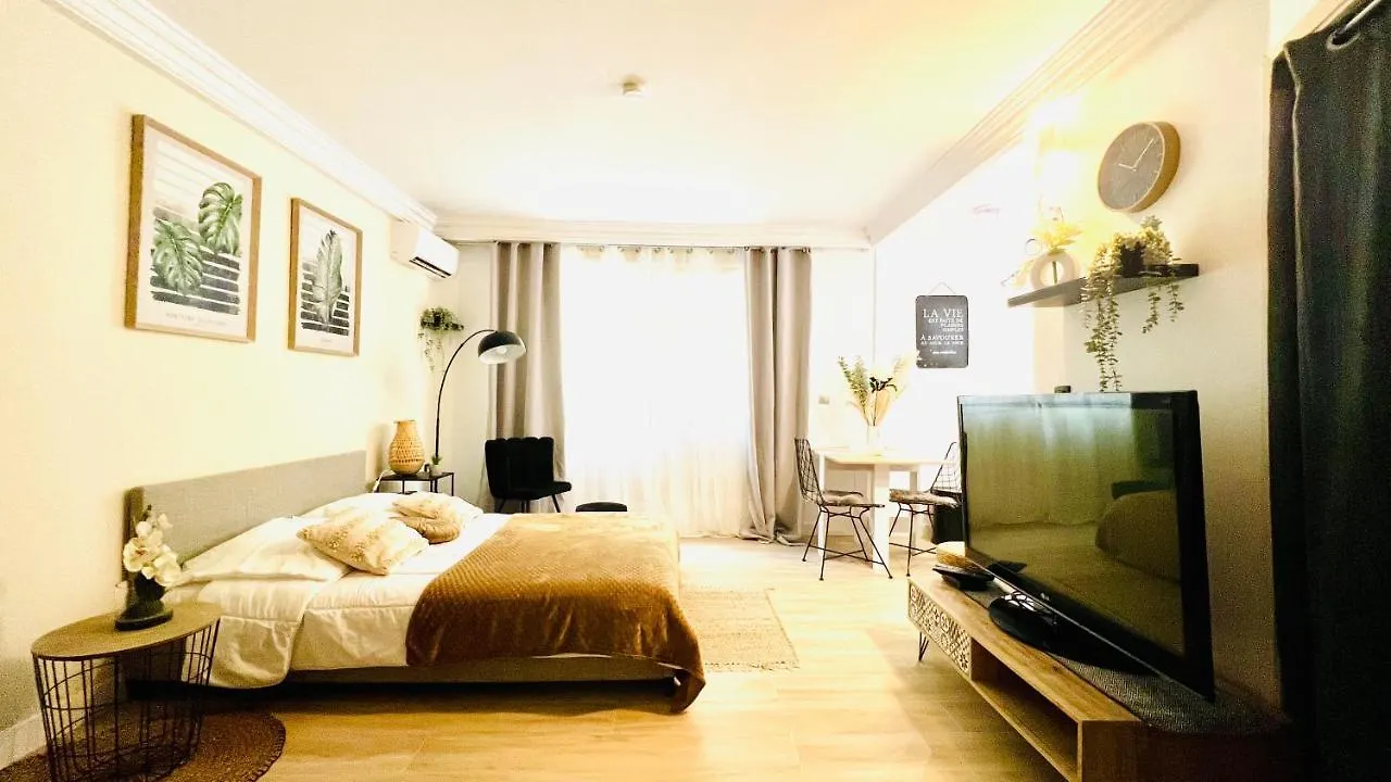 Le Miramar Nice - Clim, Parking, Wifi Et Piscine Apartment